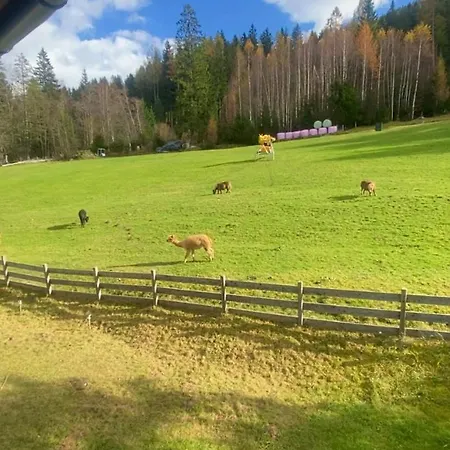 Lejlighed Mai-brunn Alm Appartements, Maibrunnenweg 34-36 Bad Kleinkirchheim